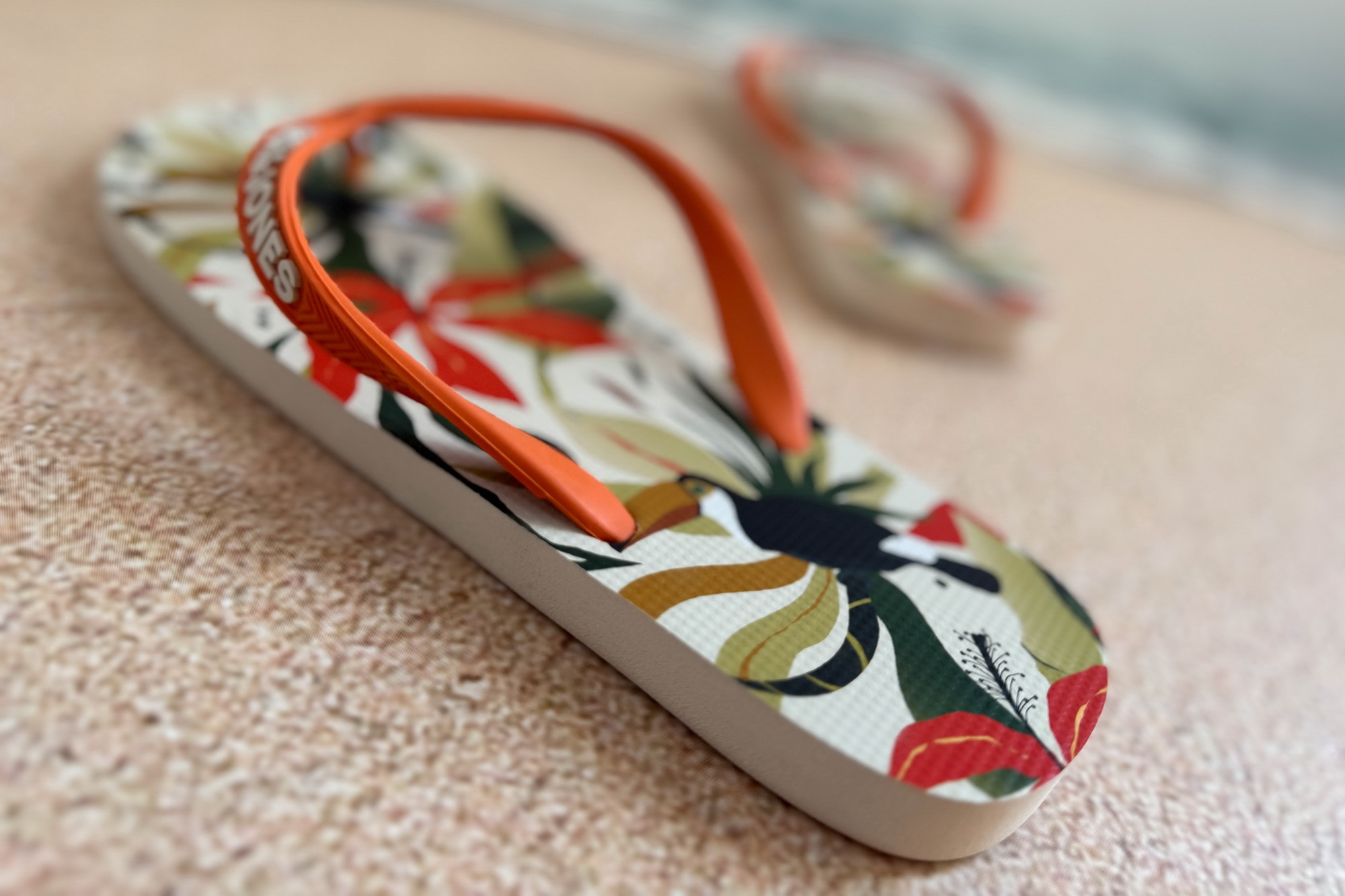 Detailansicht Flip Flops auf der Fototapete in der Ferienwohnung Meeresbrise in Heiligenhafen